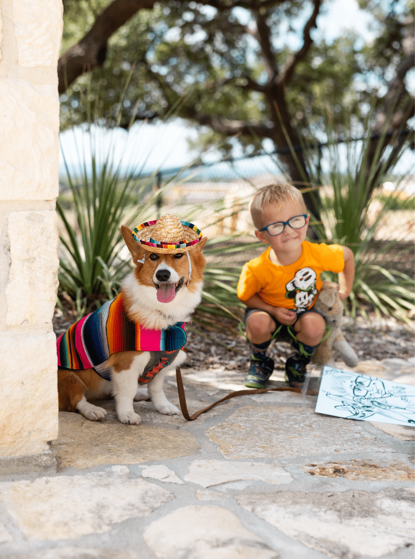 little boy at bark in the park 2025